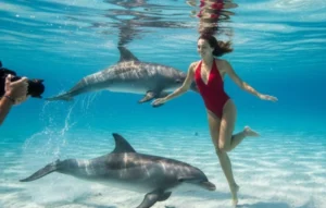 Séance de shooting photo sous-marine d'une jeune femme en maillot rouge avec des dauphins à Hurghada.