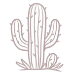 Dessin au trait couleur sable d'un cactus pour illustrer la flore du désert égyptien.