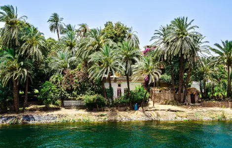 Croisière Sataya - Mer Rouge