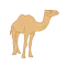 chameau desert hurghada