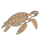 icone tortue